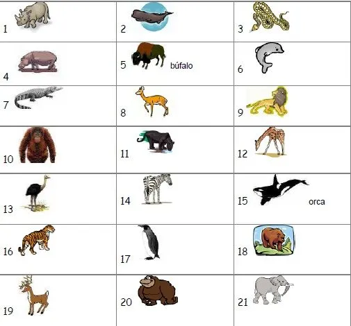 Nombres animales omnivoros - Imagui