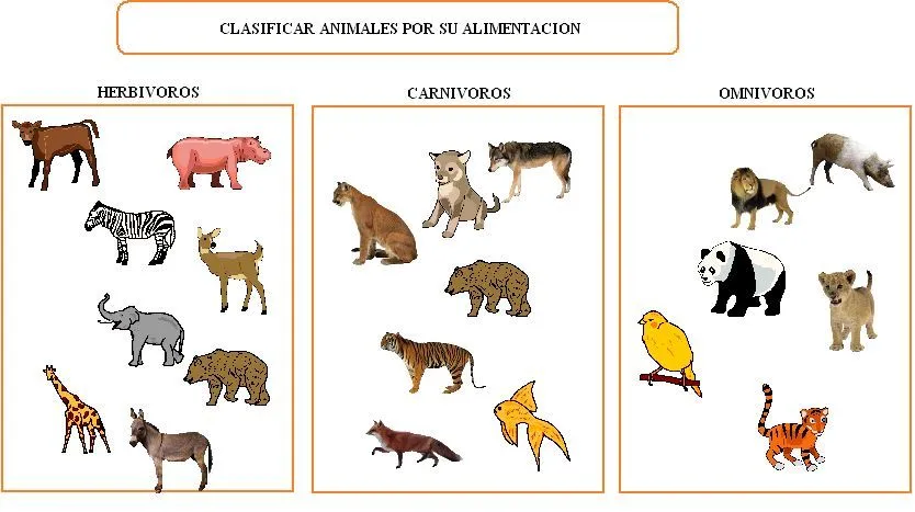 Animales herbívoros y carnivoros y omnivoros - Imagui