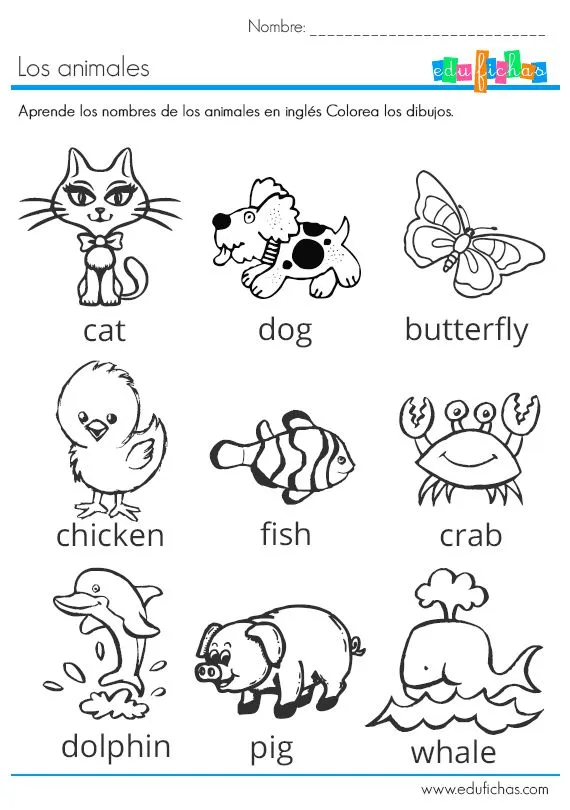 los animales en ingles | <3 ESL -Early English | Pinterest | Animales
