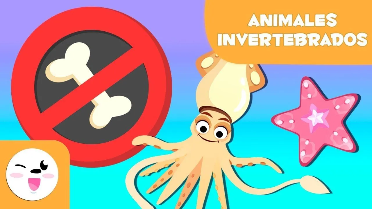 ANIMALES INVERTEBRADOS - Artrópodos, moluscos, gusanos, celentéreos,  equinodermos y esponjas - YouTube