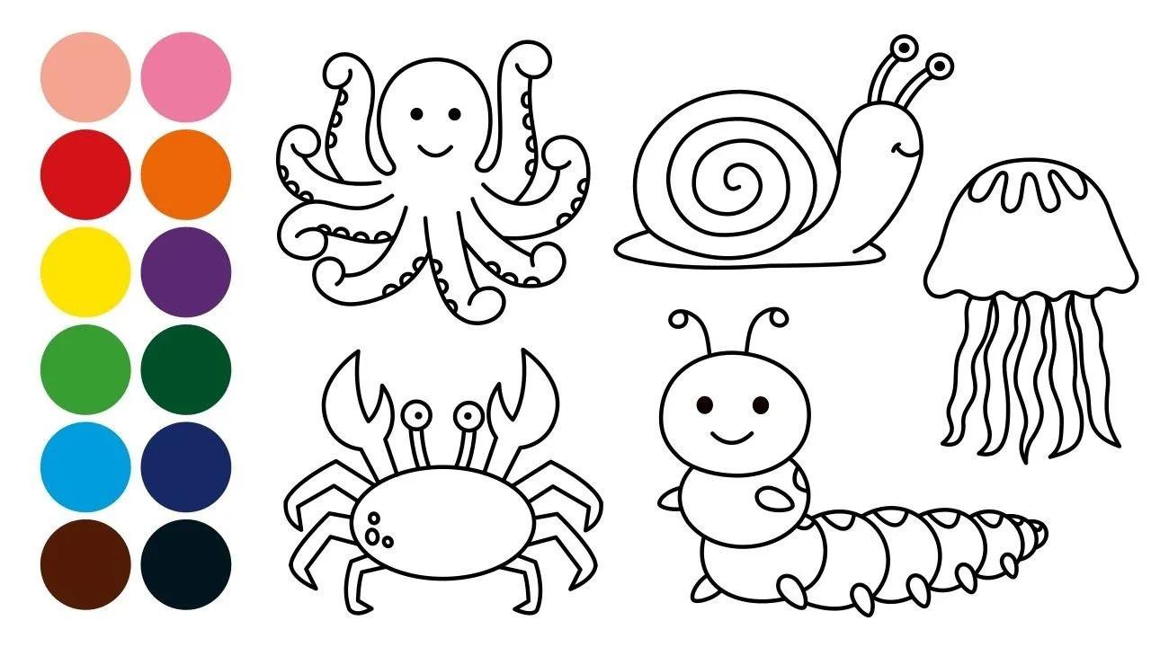 ANIMALES INVERTEBRADOS dibujar y colorear para niños - Dibujar con Vivaldi,  Handel y otros - YouTube