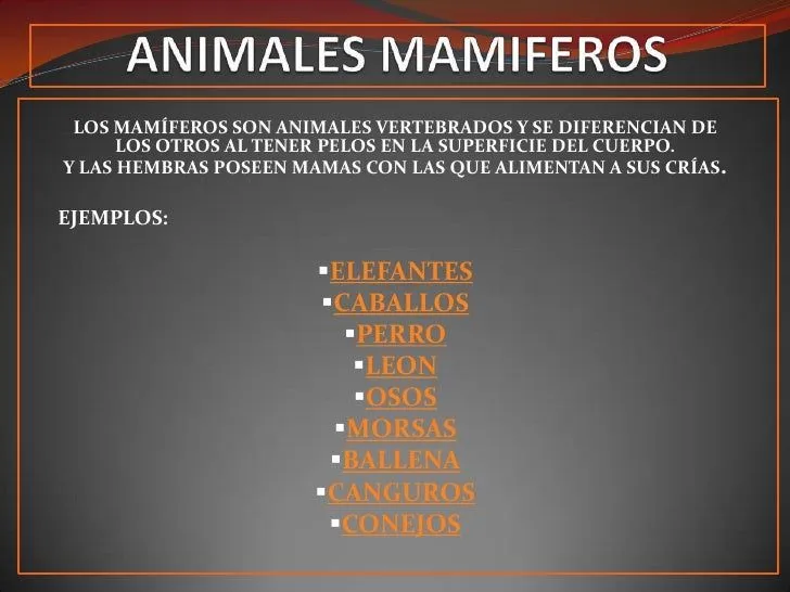 ANIMALES MAMIFEROS