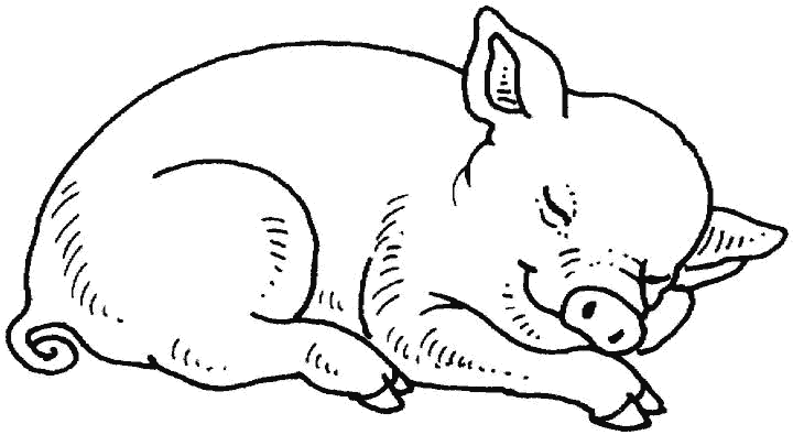 Dibujos para colorear de Cerdos, Gorrino, Cochino, Puerco
