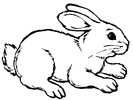 Dibujos de conejos faciles - Imagui