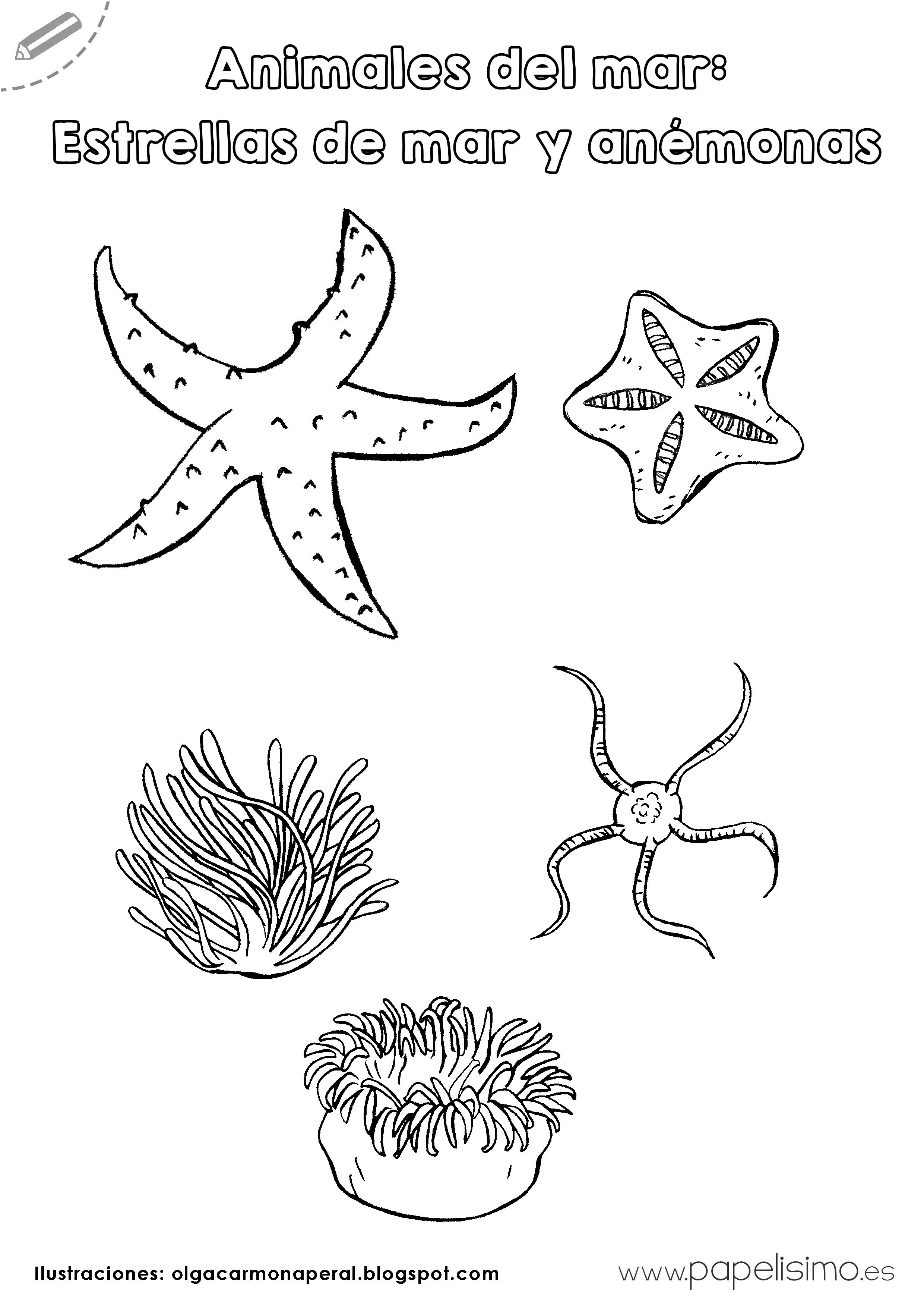 Animales del mar para imprimir y colorear | Papelisimo