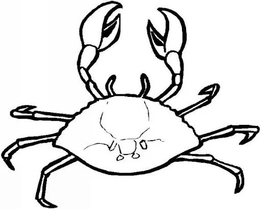 Dibujos animales de mar - Imagui