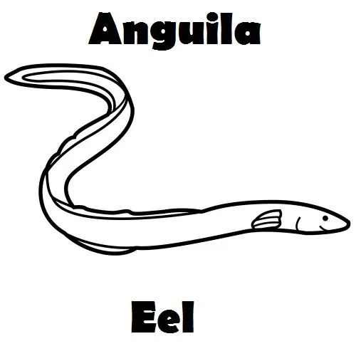 Animales Marinos para dibujar ingles español | Imagenes para ...