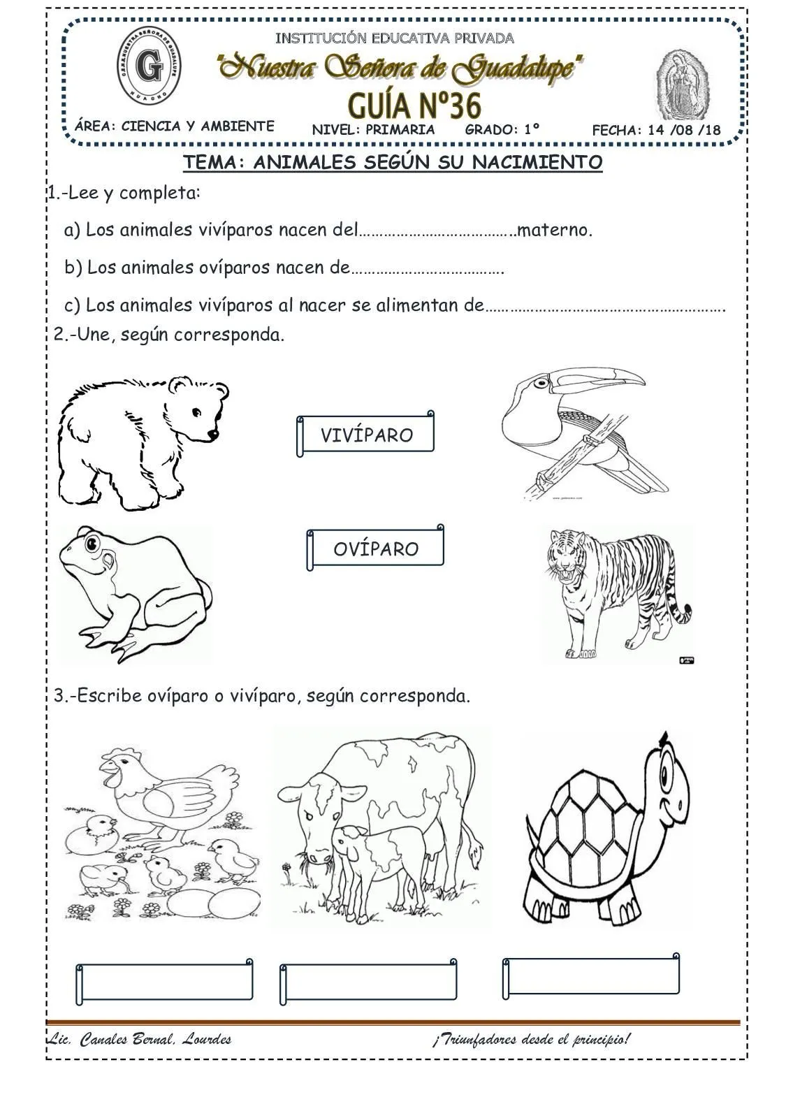 Animales Segun Su Nacimiento(36) | Reproduccion de los animales, Animales  oviparos y viviparos, Animales oviparos