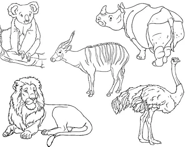 Dibujos para Colorear y Manualidades: Animales salvajes para colorear
