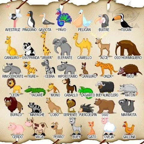 Los animales (ficha de vocabulario) | ANIMALES | Pinterest ...