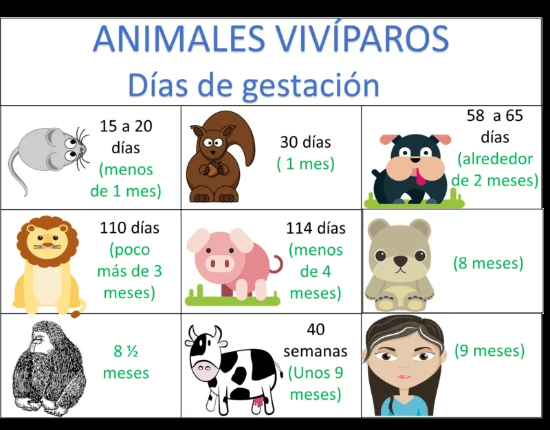 Animales ovíparos y vivíparos - Ciencias Naturales Cuarto de Primaria -  NTE.mx recursos educativos en línea