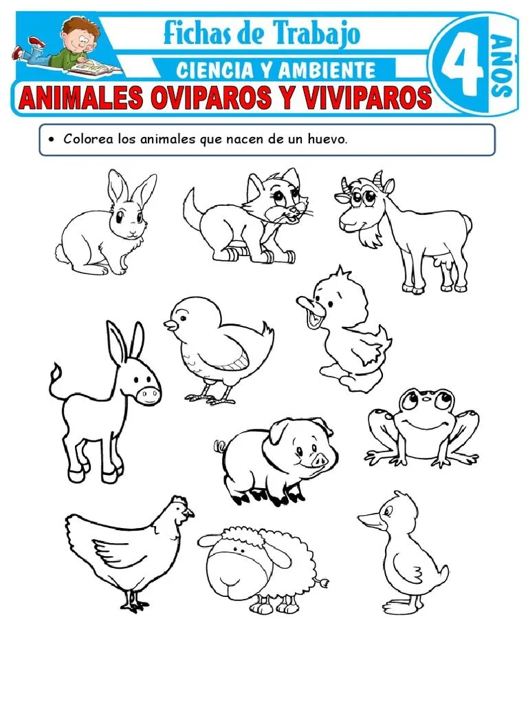 Animales Oviparos y Viviparos para Ninos de 4 Anos | PDF