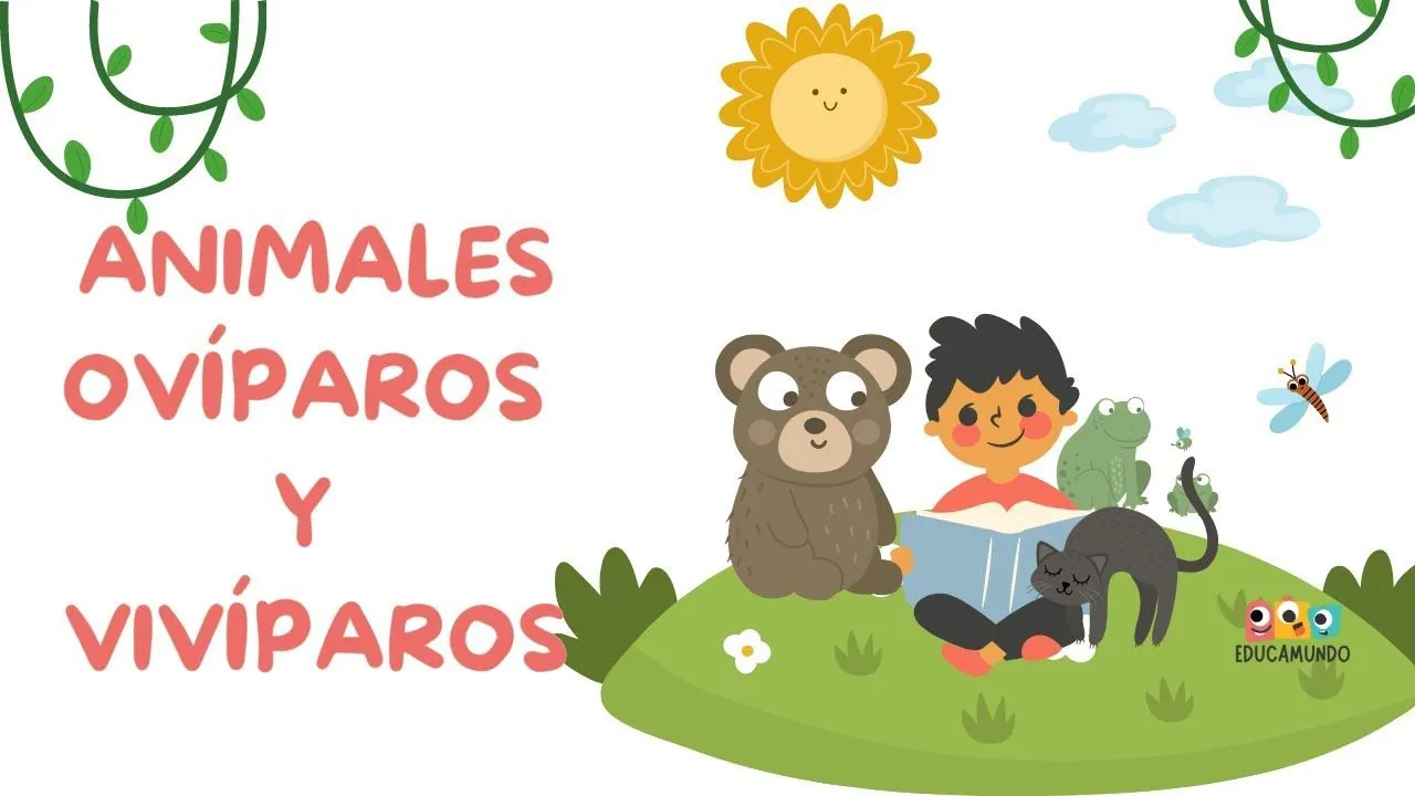 Animales ovíparos y vivíparos para niños de preescolar - EducaMundo -  YouTube