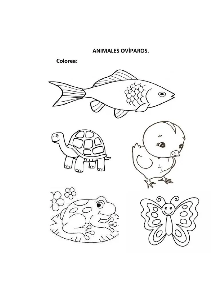 Animales Ovíparos y Vivíparos | PDF