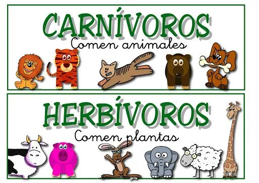 Animales carnivoros para colorear - Imagui