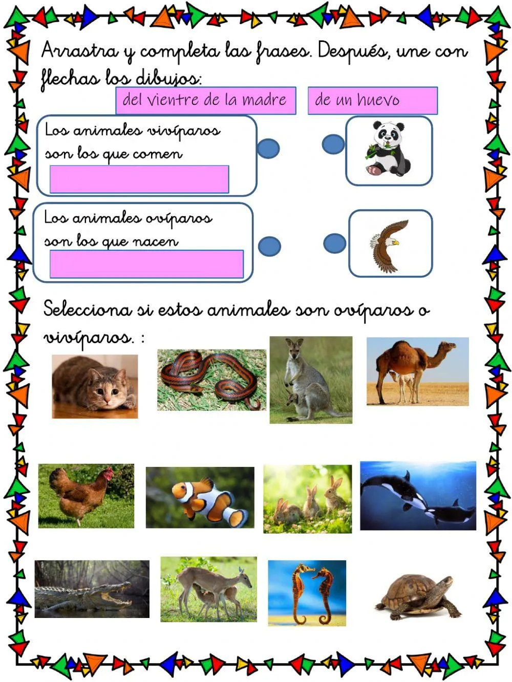 Animales ovíparos y vivíparos worksheet | Live Worksheets