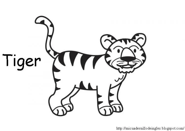 Animales salvajes tigre para pintar - Imagui