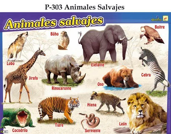 Animales Salvajes | Tipo de Animales