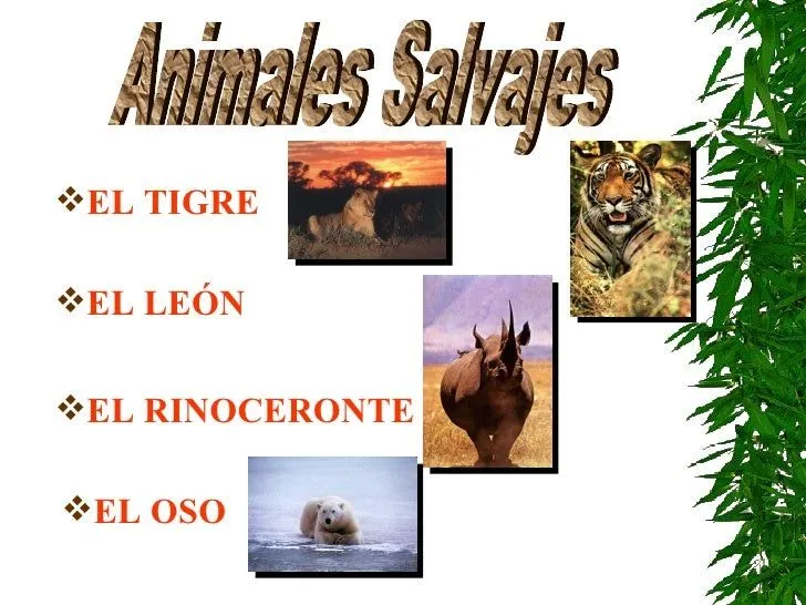 ANIMALES DE LA SELVA