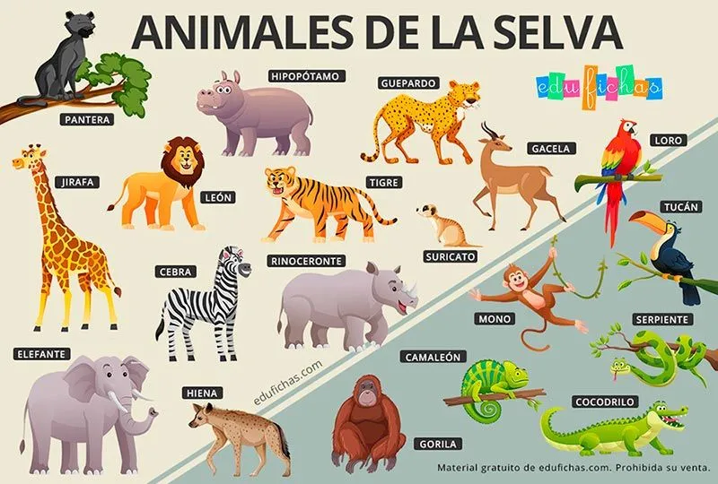 Animales de la Selva para Niños - Fichas, Fotos y Recortables GRATIS