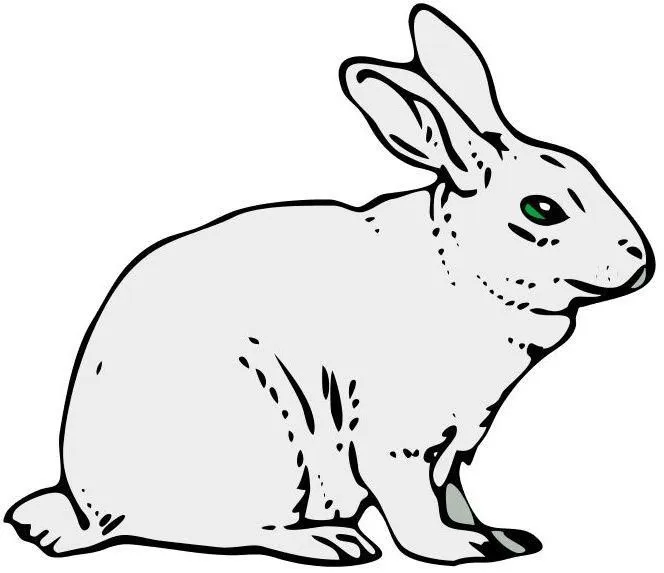 Para colorear: conejo - Imagui