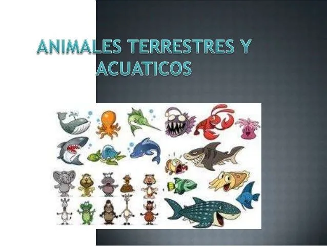 Animales terrestres y acuaticos