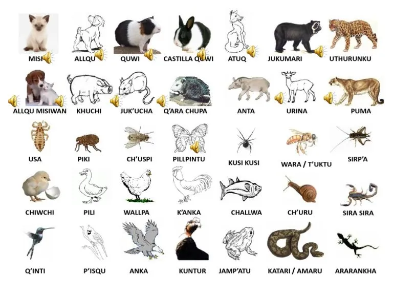 Animales Uywakuna | PDF