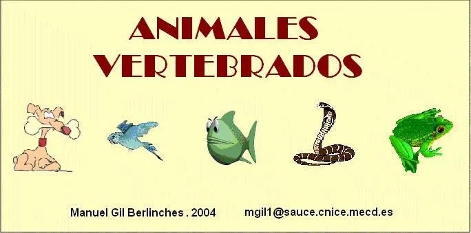 CEIP " SIMÓN BOLÍVAR" 3º B: LOS ANIMALES VERTEBRADOS (2)