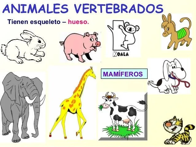 animales-vertebrados-e- ...