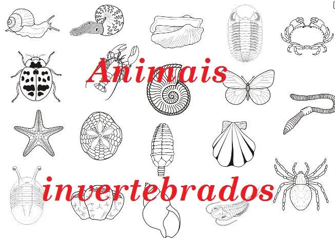 Los animales vertebrados e invertebrados para colorear - Imagui