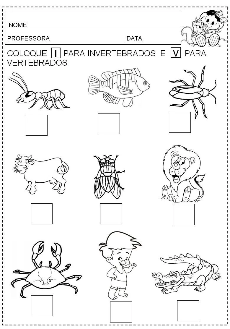 Animales Vertebrados E Invertebrados Para Colorear Imagui ...