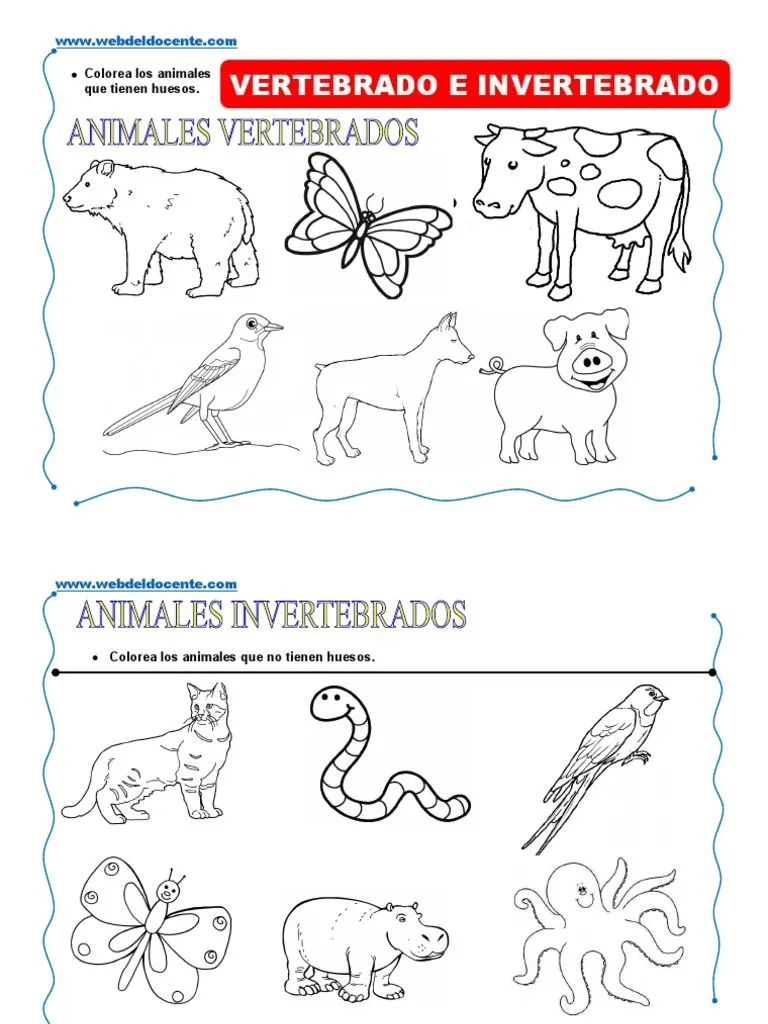 Animales Vertebrados e Invertebrados para Niños de 4 Años | PDF
