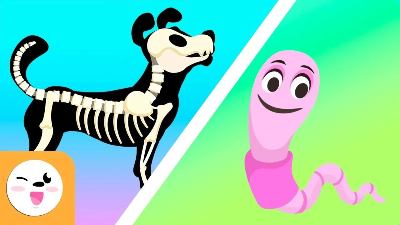Los animales vertebrados e invertebrados para niños - Vídeos educativos para  niños - YouTube