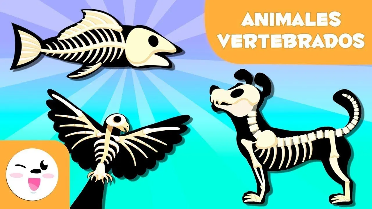 ANIMALES VERTEBRADOS para niños - Mamíferos, aves, reptiles, peces y  anfibios - YouTube