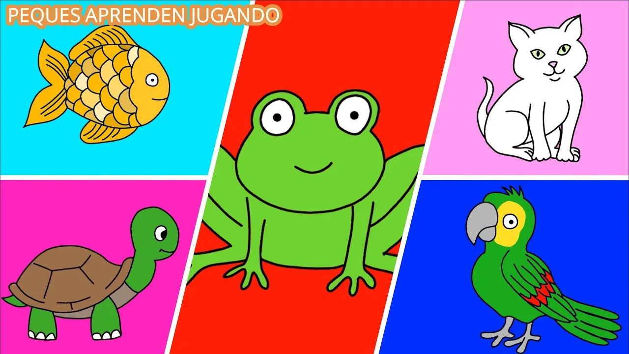 Animales vertebrados, tipos y características para niños Video de Peques  Aprenden Jugando - YouTube