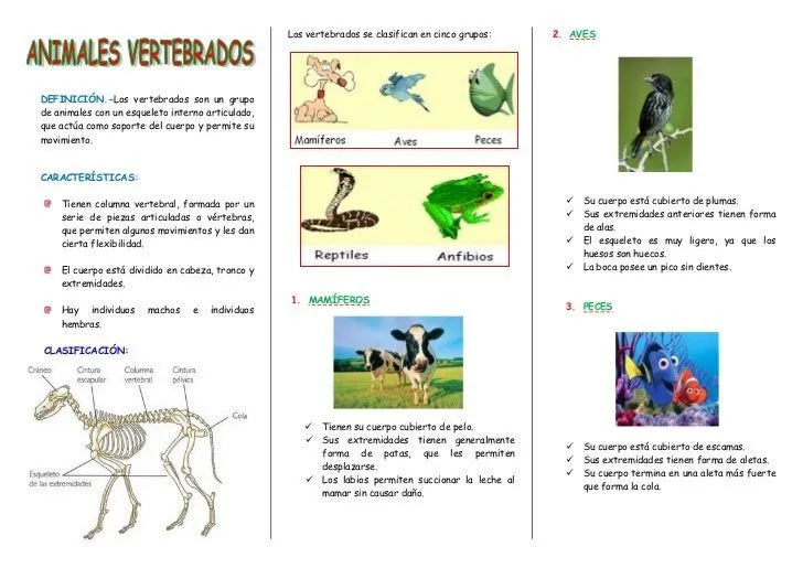 Animales vertebrados triptico