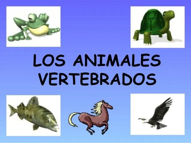 Los animales vertebrados ud4