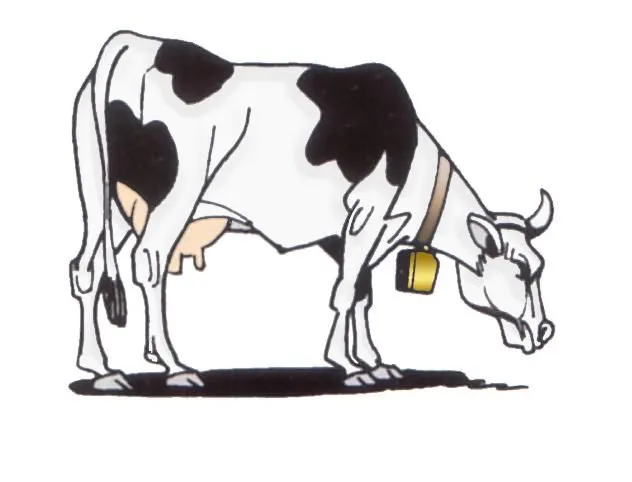 Dibujos cow - Imagui