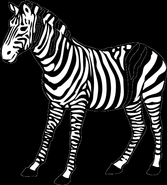 Animated Zebra Pictures - Cliparts.co