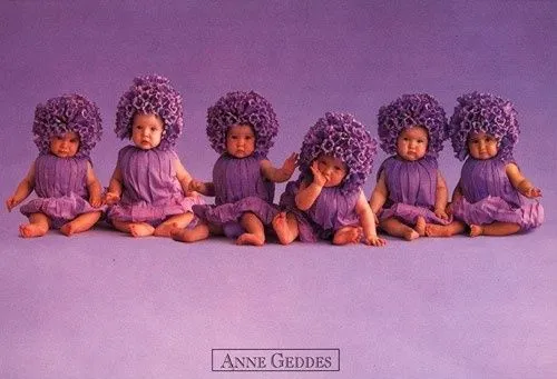  ... : Anne Geddes retrata la divina belleza y ternura de los bebés