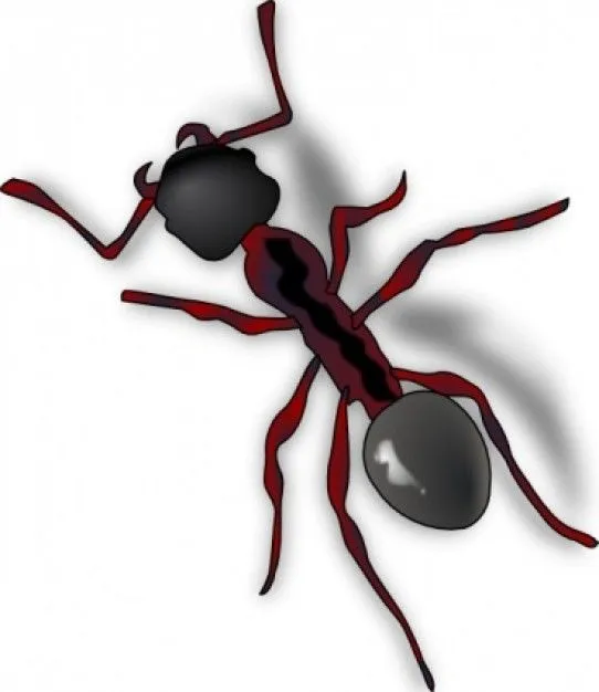 ant with shadow in red tones top view | download Free Animal Vectors
