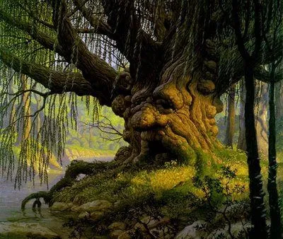... los antiguos espíritus del bosque oyen a las hadas llorar de pena ... los antiguos espíritus del bosque oyen a las hadas llorar de pena