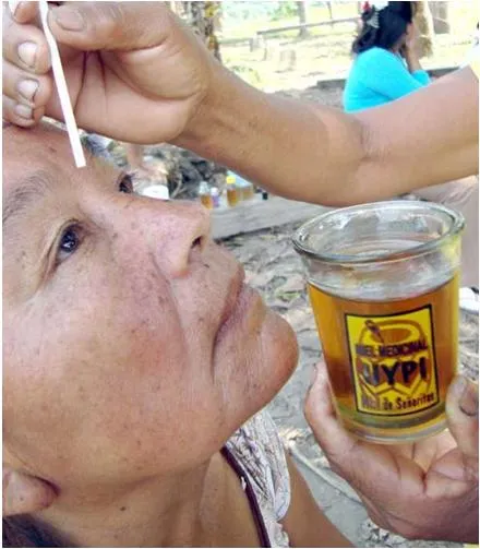 APICULTURA EN MISIONES: Bolivia. Usos medicinales de la miel de ...