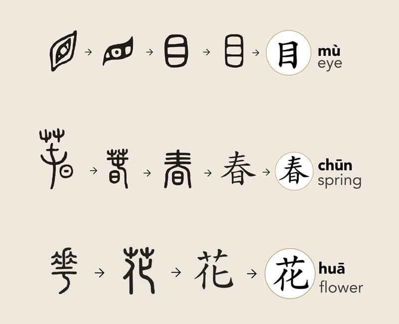 Aprenda los caracteres chinos | El Instituto de Lengua China