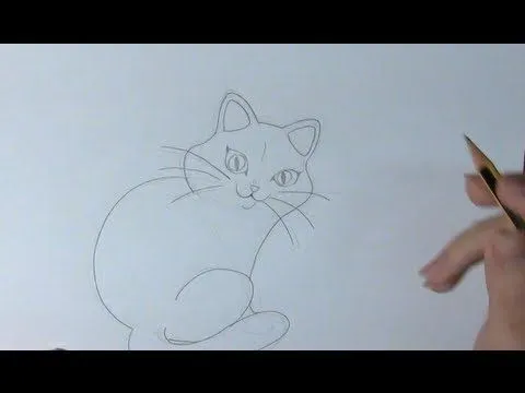 Aprende a dibujar un gato - How to draw a cat - YouTube