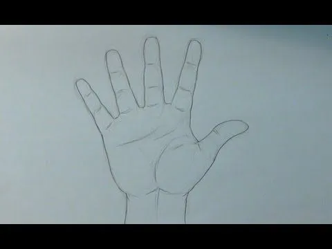 Aprende a dibujar una mano abierta - How to draw an open hand ...