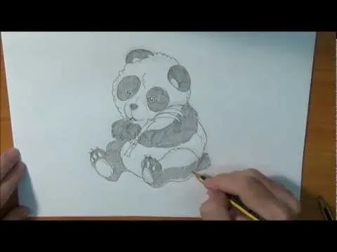 Aprende a dibujar un Oso Panda - YouTube