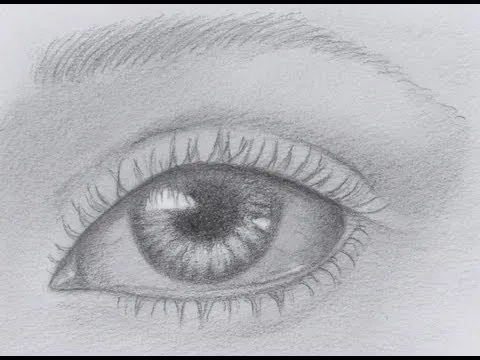 Como dibujar un ojo realista a lapiz - Imagui