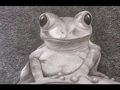 Aprender a dibujar: cómo dibujar una rana realista - Arte Divierte ...