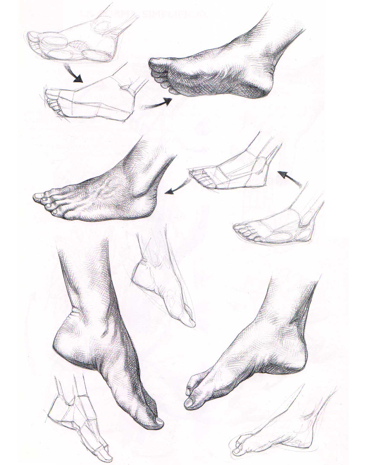 Aprender a dibujar manos y pies | El Dibujante 2.0 Aprender a dibujar manos y pies | El Dibujante 2.0